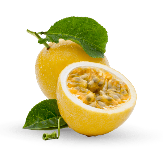 Cocora%20Agroindustrial