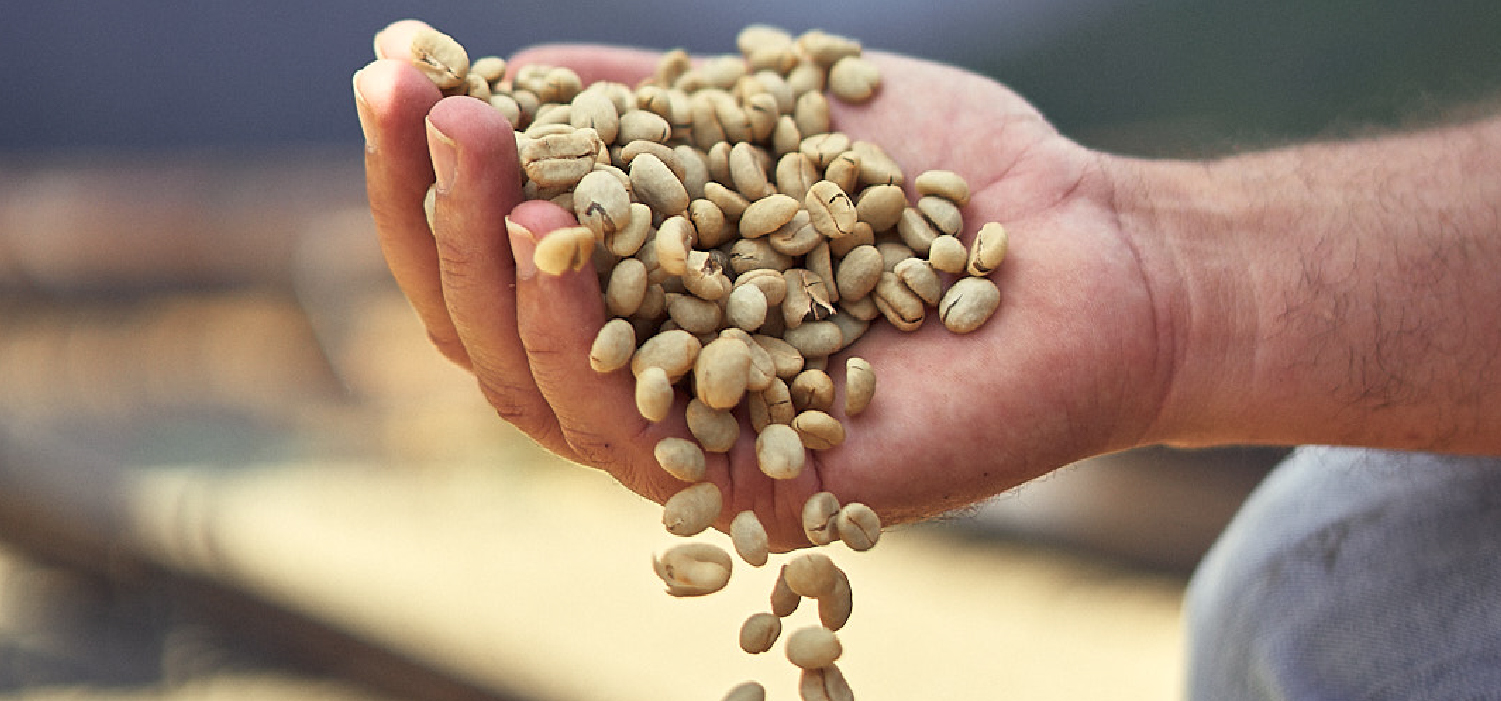 Variedades de Café Cocora