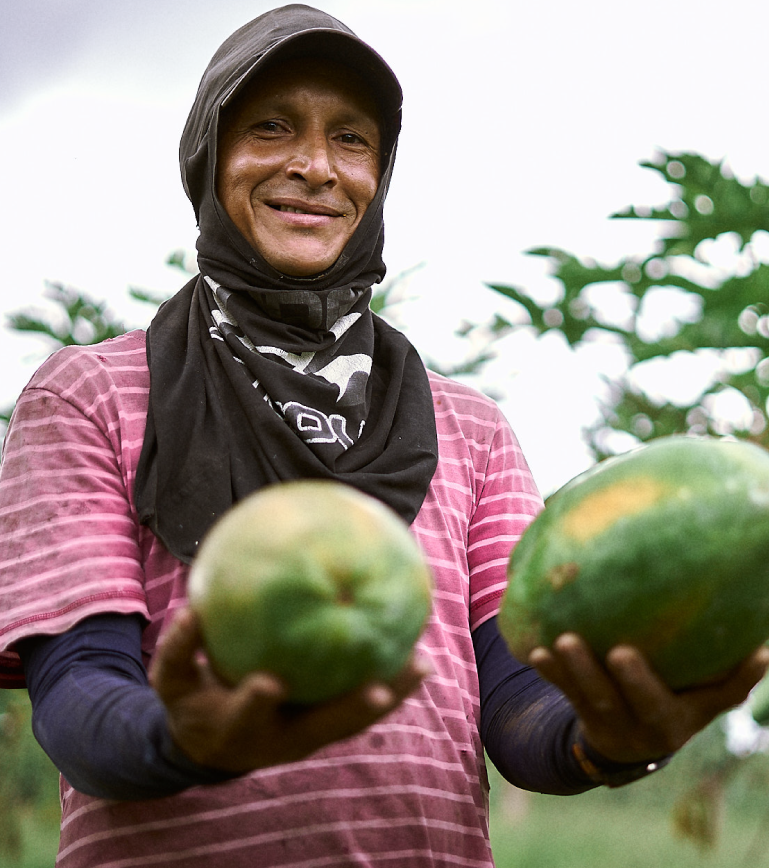 Cocora%20Agroindustrial